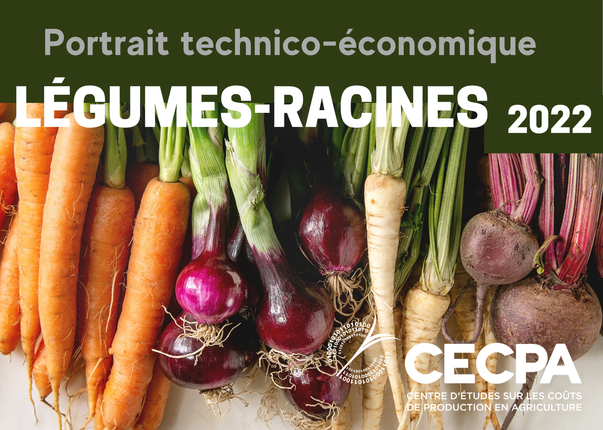 Inf. complémentaires : Étude technico-économique - Production spécialisée de légumes-racines au Québec 2022